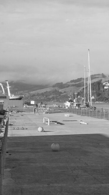 Skate Parks in Dunedin