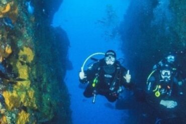 Snorkelling Locations in Christchurch