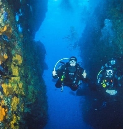 Snorkelling Locations in Christchurch