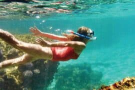 Snorkelling Locations in Lower Hutt