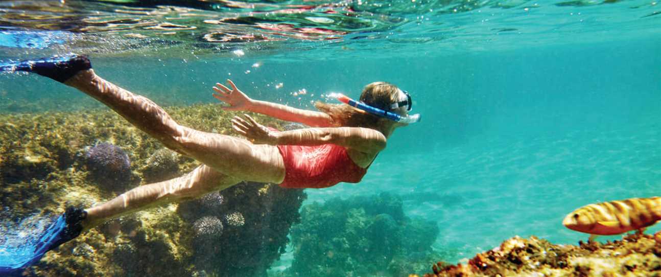 Snorkelling Locations in Lower Hutt