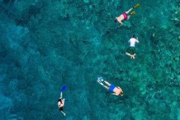 Snorkelling Locations in Sydney