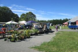 Sunday Markets in Christchurch