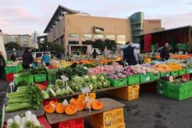 Sunday Markets in Wellington