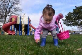 Things to do at Easter for Kids in Hamilton