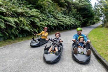 Things to do with Kids in Auckland