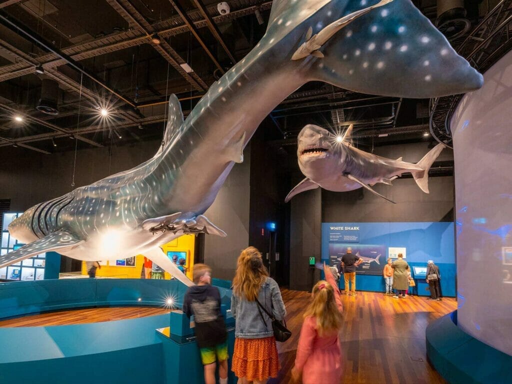 Things to do with Kids in Sydney