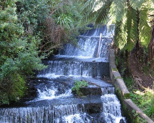 Things to do with Toddlers in Lower Hutt