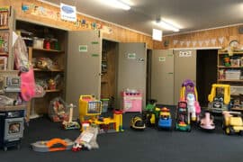 Toy Libraries in Hamilton