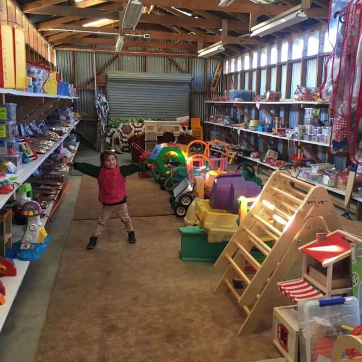 Toy Libraries in Lower Hutt