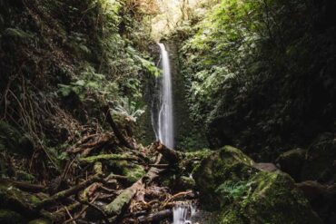 Waterfalls in Dunedin