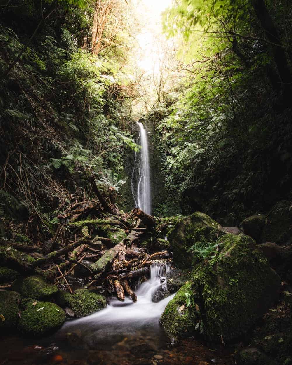 Waterfalls in Dunedin