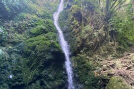 Waterfalls in Lower Hutt