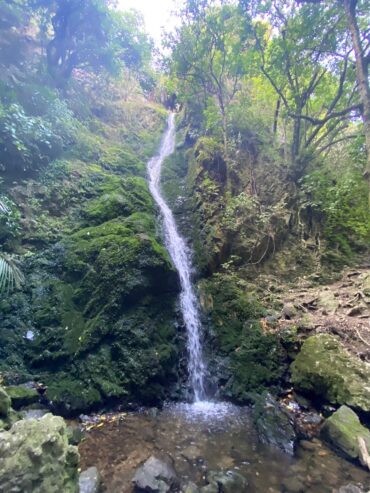 Waterfalls in Lower Hutt