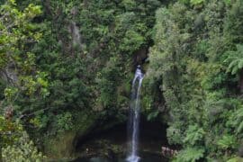 Waterfalls in Tauranga