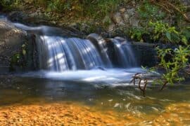 Waterfalls in Wellington