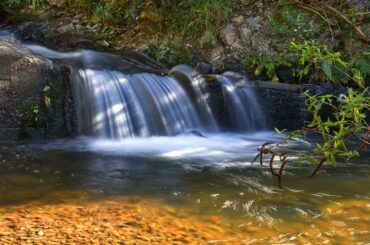 Waterfalls in Wellington