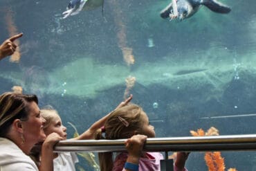 Zoos, Animal Farms and Aquariums in Christchurch