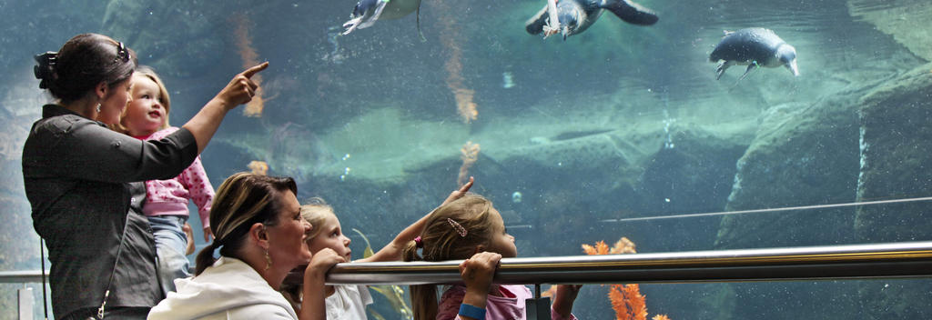 Zoos, Animal Farms and Aquariums in Christchurch