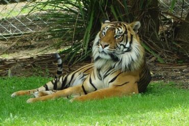 Zoos, Animal Farms and Aquariums in Tauranga