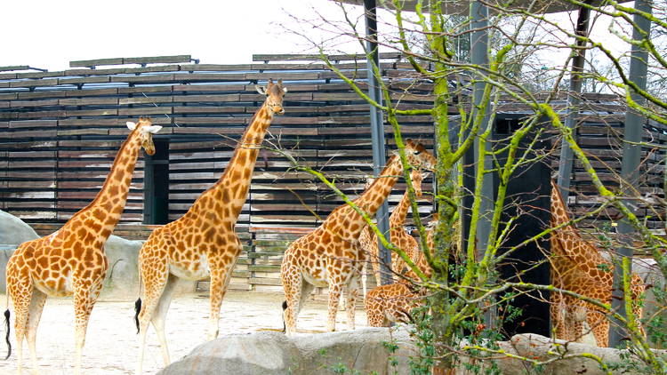 Zoos, Animal Farms and Aquariums in Western Sydney