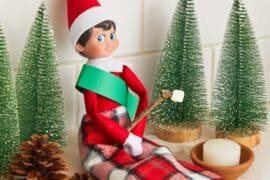 a elf on a shelf