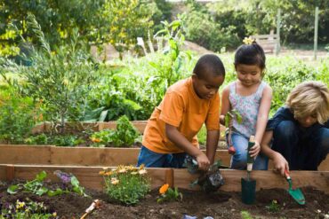 activities in garden