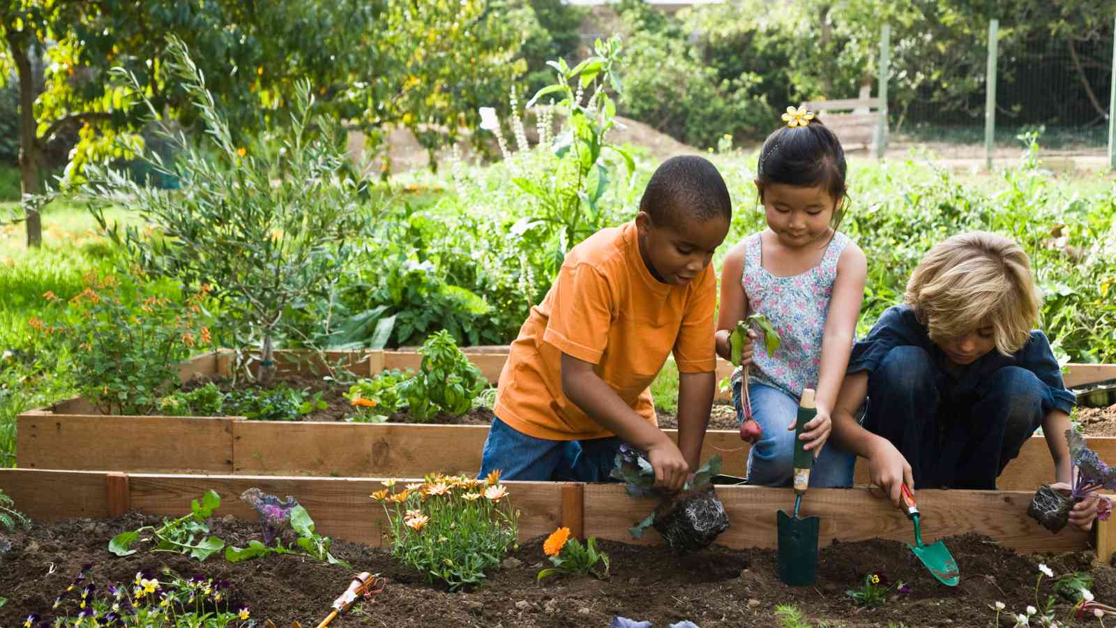 activities in garden