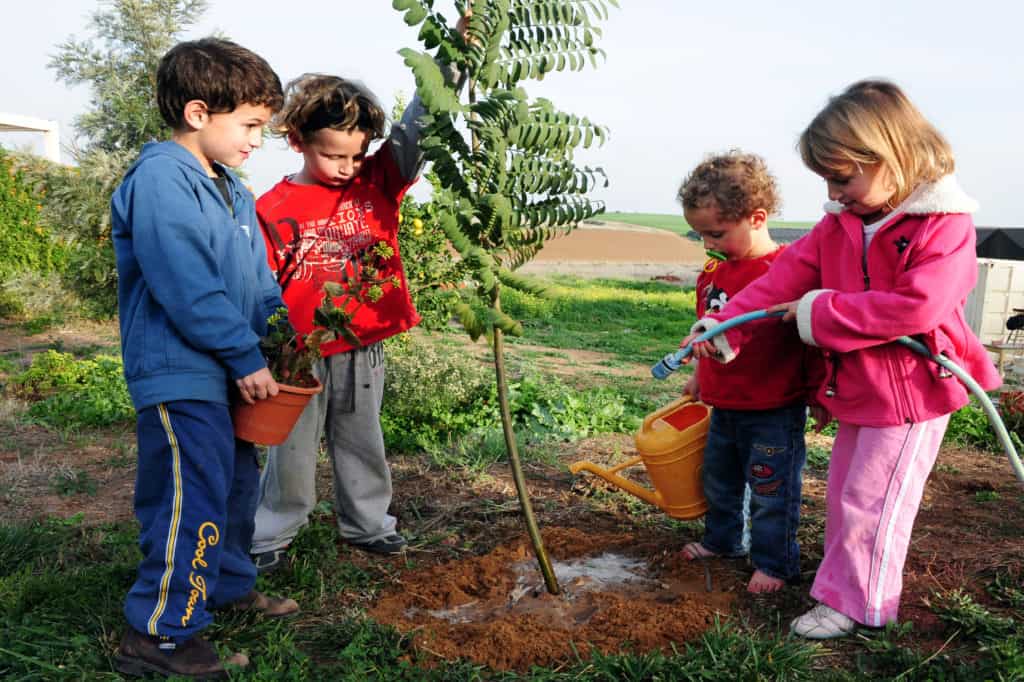 activities in the garden