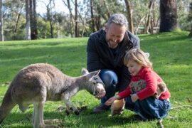 adelaide animal park