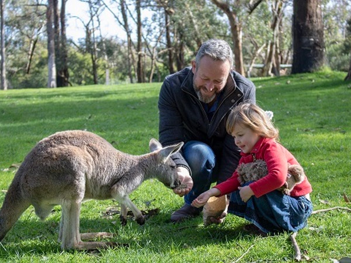 adelaide animal park