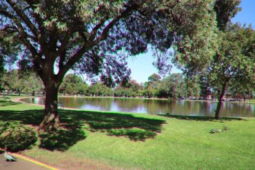 adelaide bonython park