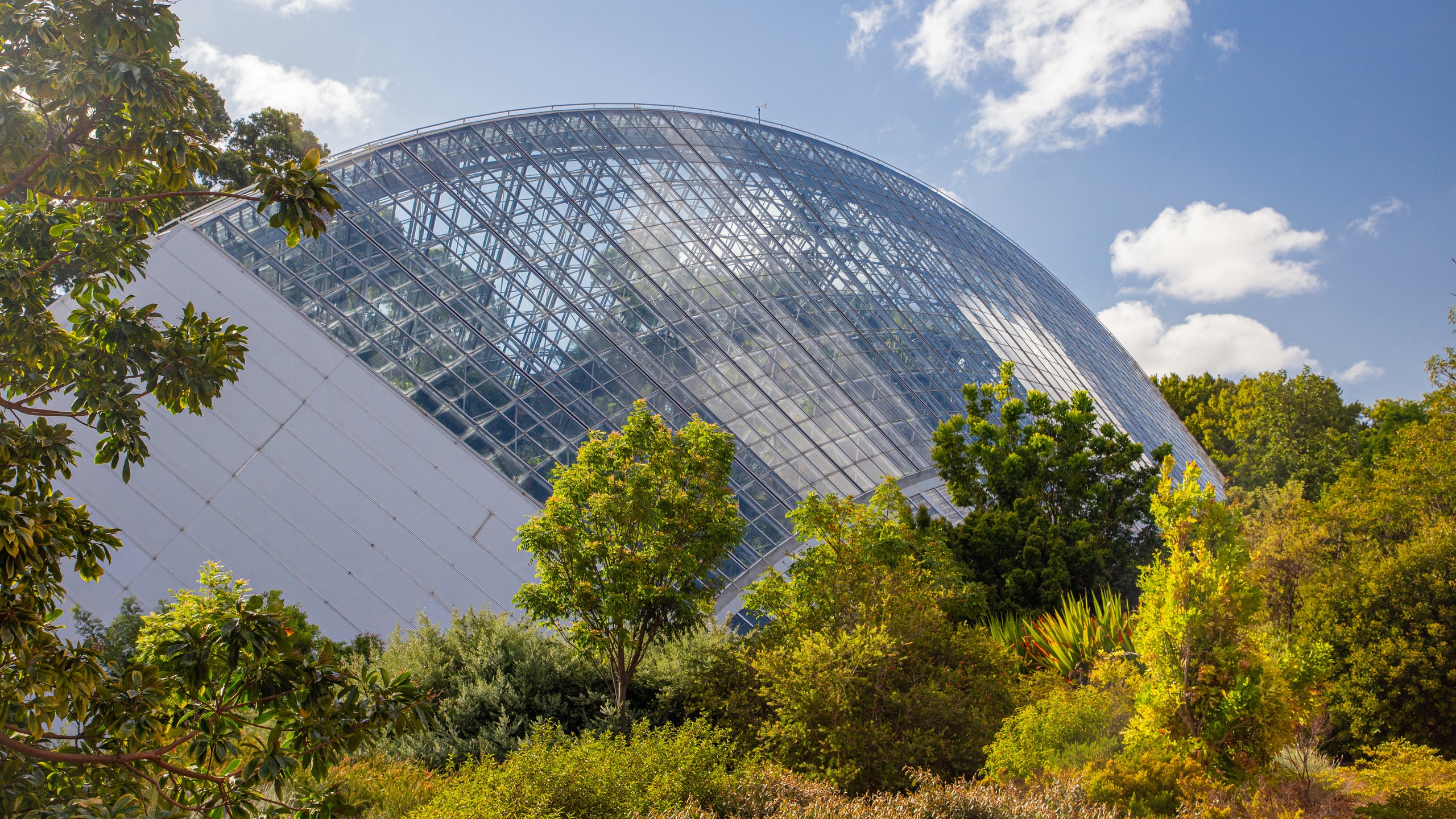 adelaide botanic gardens