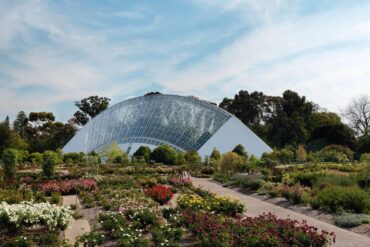 adelaide botanical gardens