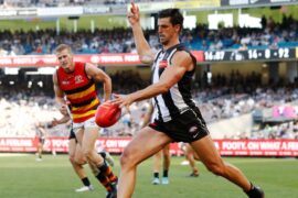 adelaide crows vs collingwood