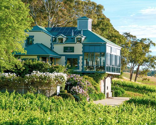 adelaide hills wineries