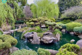 adelaide himeji garden