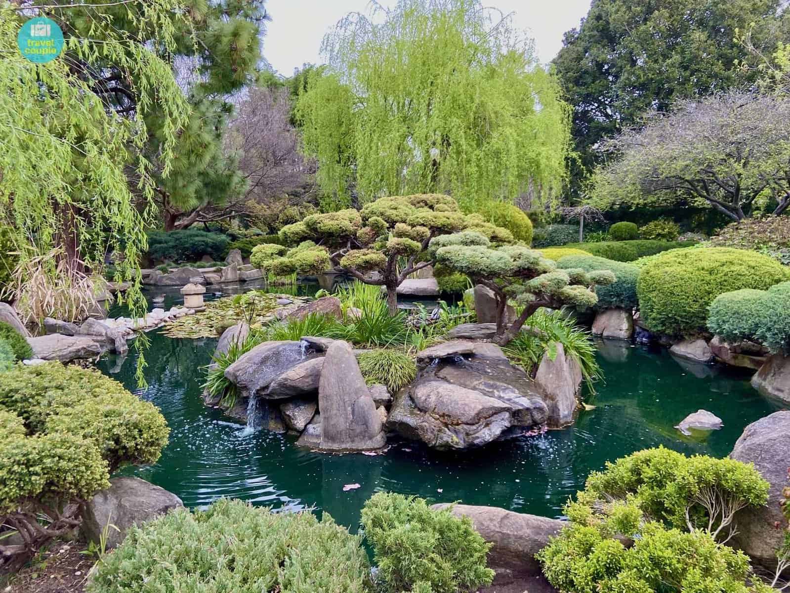 adelaide japanese garden