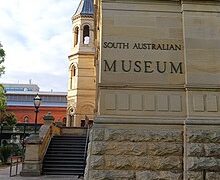 adelaide museum south australia