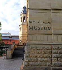 adelaide museum south australia