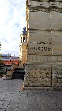 adelaide museum south australia