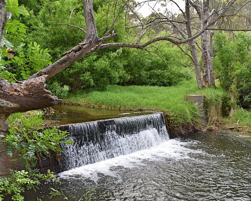 adelaide parks