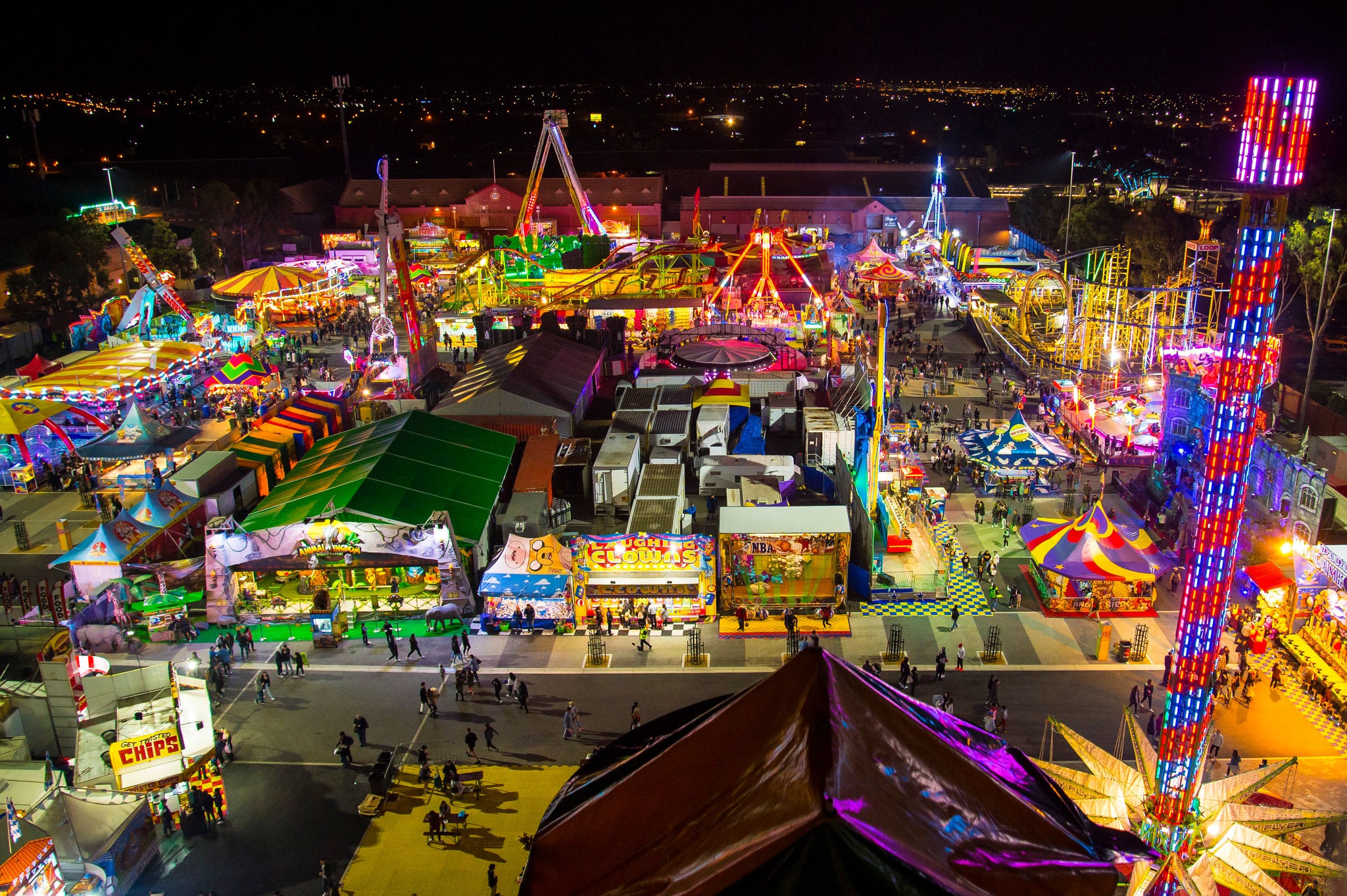 adelaide royal show