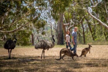 adelaide to cleland wildlife park