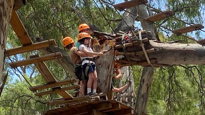 adelaide tree climbing