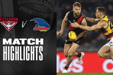 adelaide v essendon