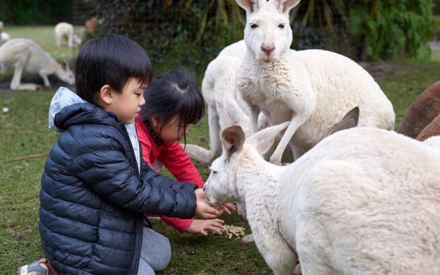 adelaide wildlife park