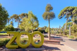 adelaide zoo