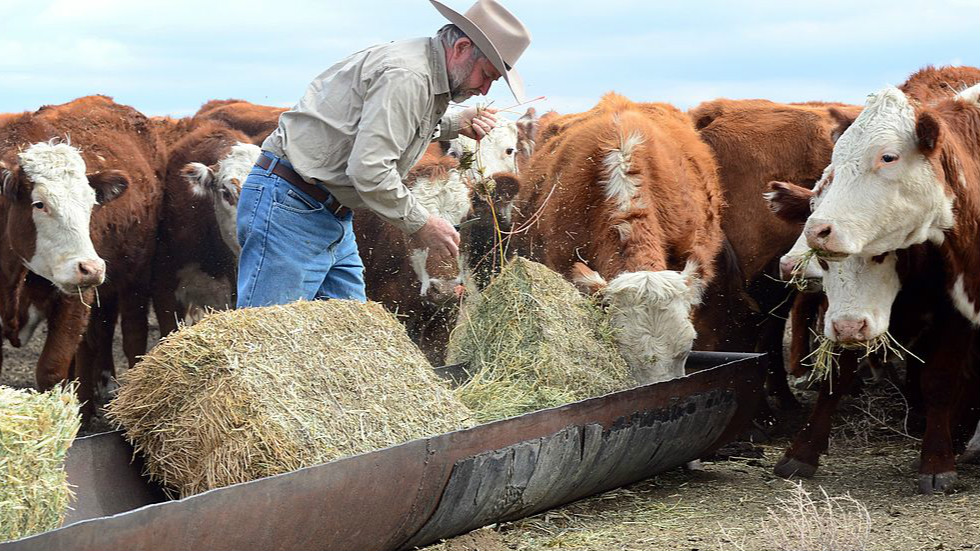 american farmers and ranchers