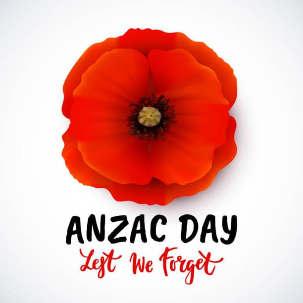 anzac day poppy